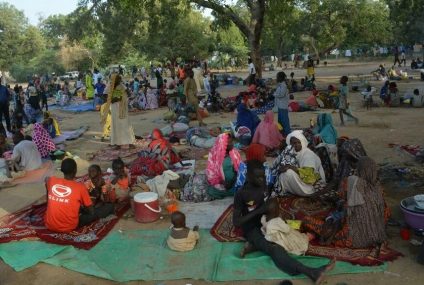Des milliers de réfugiés camerounais au Tchad dans une situation très précaire