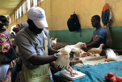 Centrafrique: les autorités face à l’arrêt de certaines exportations camerounaises