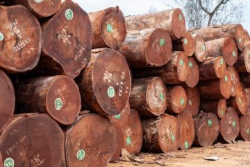 Cameroun: l’agriculture industrielle, transformation du bois, exportations,… ont fait augmenter le Pib de 3,6% en 2021