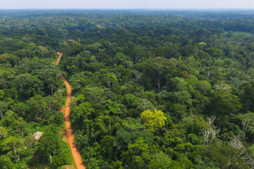 Le Gabon certifié au crédit carbone