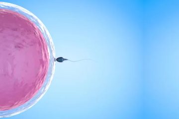 La chute du nombre de spermatozoïdes à l’échelle mondiale inquiète les scientifiques