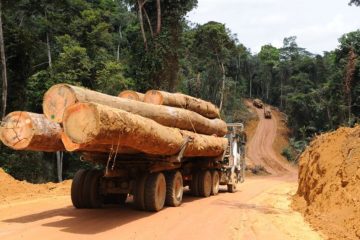 Exportations : la Chine a été le principal client du Cameroun en 2021