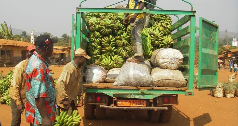 Corridor Kye Ossi – Libreville : 46 % des frais de douane des marchandises sont non officiels au Gabon