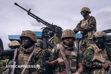 Nouvelle mission militaire de l’UE pour l’Afrique? “Un vieux logiciel totalement grippé et virusé”