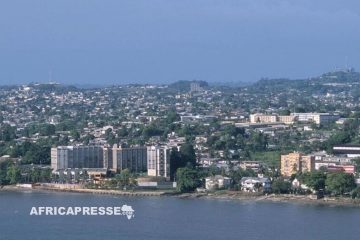 Gabon : Contestation par plus de quarante partis d’un dialogue jugé exclusif