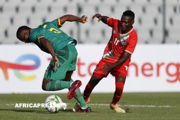 La Namibie écrase le Cameroun 2-1 et se rapproche de la qualification