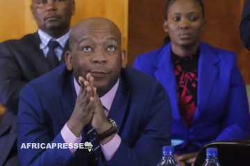 En Afrique du Sud, un ministre de l’Électricité pour en finir avec les délestages