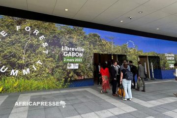 Au Gabon, le One Forest Summit accouche d’un fonds de 100 millions d’euros