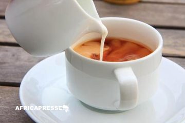 Le lait dans le café, une habitude à éviter selon des scientifiques australiens