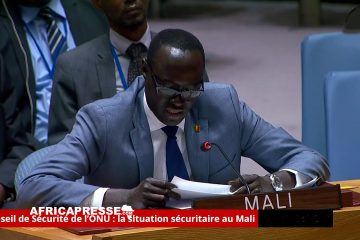 Le Mali accuse la France de violations des droits de l’Homme au Conseil de sécurité de l’ONU [Video]