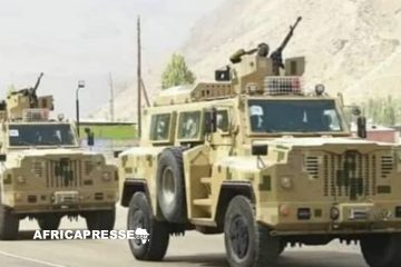 Le Mali acquiert des véhicules militaires modernes de fabrication chinoise pour lutter contre l’insurrection [Video]
