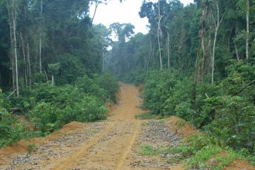 Le Gabon engage une procédure d’immatriculation de plusieurs parcelles à Port-Gentil, Franceville, Libreville, Lambaréné,…