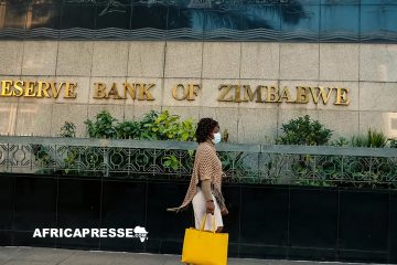 Le Zimbabwe se dote d’une monnaie numérique adossée à l’or pour réduire sa dépendance au dollar américain