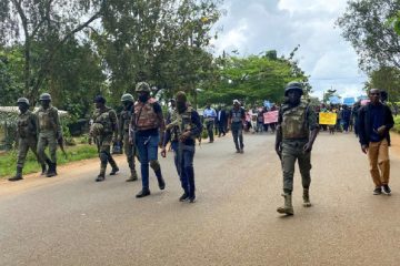 Crise anglophone-Cameroun : une vingtaine de combattants séparatistes se rendent aux autorités