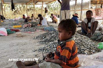 Les mines de mica de Madagascar : un enfer pour des milliers d’enfants exploités