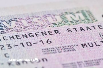 Dépenses records pour les visas Schengen en Afrique : Quels pays sont les plus concernés ?