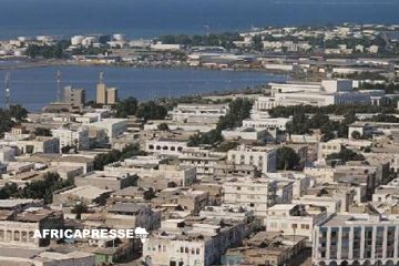 Arrestations de militants de l’opposition à Djibouti après une «cérémonie festive» en uniforme