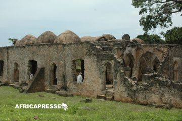 L’île de Pemba en Tanzanie face au défi climatique : Un mur protecteur de 500 m pour préserver les ruines de Mkumbuu