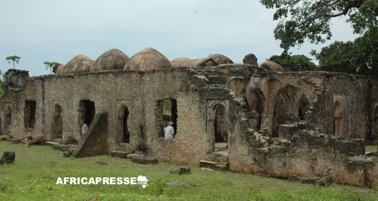 ruines de Mkumbuu en Tanzanie