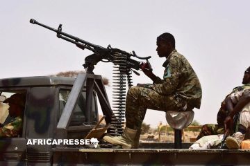L’Égypte offre un important soutien militaire au Niger pour lutter contre les jihadistes