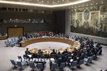 L’Onu vise une ouverture du Conseil de sécurité à l’Afrique suite aux pressions grandissantes