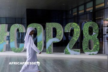 COP28 à Dubaï: Les enjeux de la transition énergétique en Afrique