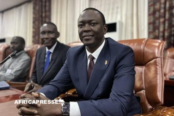 Succès Masra, Ex-Opposant, Nommé Premier Ministre du Tchad en Période de Transition