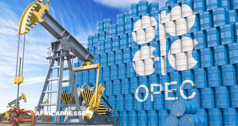Organisation des pays exportateurs de pétrole (Opep)