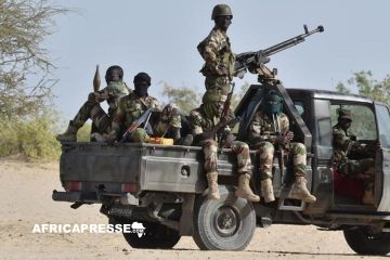 Niger : 17 terroristes appréhendés et trois bombes artisanales détruites
