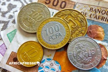 Crise monétaire en Afrique Centrale, le trafic de pièces de monnaie ébranle l’économie