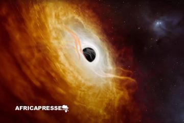 Observation inédite : un trou noir engloutit la masse d’un Soleil chaque jour