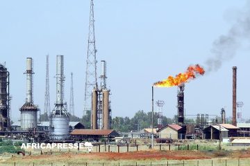 Le Niger crée une institution dédiée à l’enseignement du pétrole et du gaz