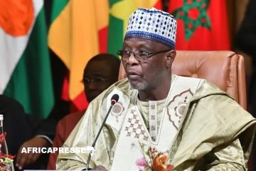 Le gouvernement nigérien convoque l’ambassadeur algérien pour dénoncer les actes de violence contre les migrants refoulés