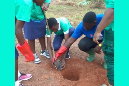 Protection de l’environnement : l’UE plante une centaine d’arbres à l’Est Cameroun