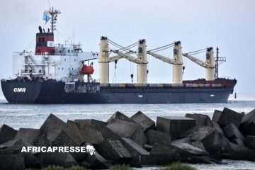 Cameroun : Saisie par l’Ukraine d’un Cargo Camerounais Transportant des Céréales de Crimée