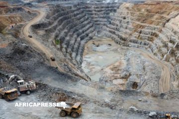 RDC : Gécamines S’oppose à la vente d’actifs de Cobalt-Cuivre au Chinois Norin Mining