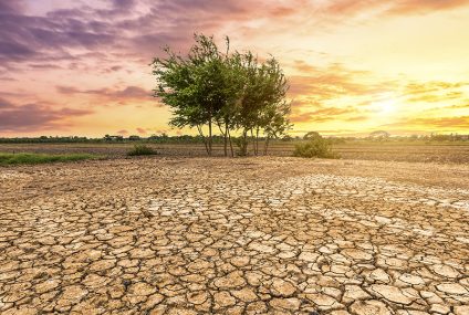 Le dérèglement climatique va entrainer le déplacement des pluies tropicales selon des spécialistes de l’environnement