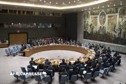 L’Afrique exige deux sièges permanents au Conseil de sécurité de l’ONU