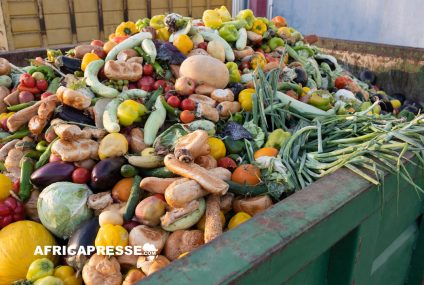 Indice alarmant de l’ONU : Le monde jette chaque jour l’équivalent d’un milliard de repas