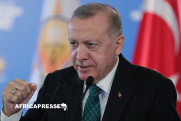 La Turquie et la Russie s’engagent aux côtés du Mali pour combattre le terrorisme