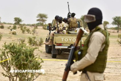 Niger : Arrestation de 245 individus soupçonnés de liens terroristes dans plusieurs régions frontalières