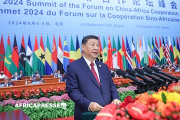 La Chine offre un accès sans tarifs douaniers à 33 pays africains