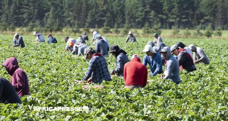 travailleurs immigrants