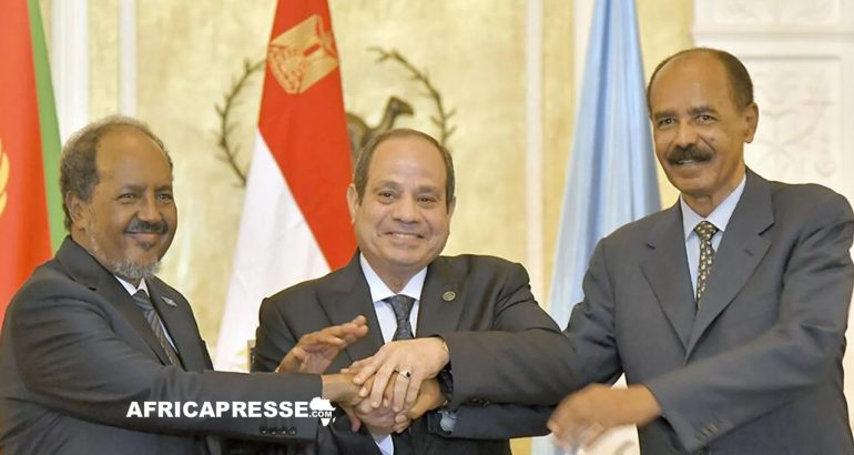 President de la Somalie de l'Égypte et de l'Érythrée