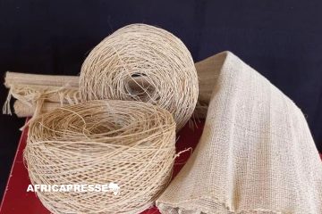 Ouganda : Des fibres de bananiers aux produits innovants, TEXFAD s’ouvre à l’international