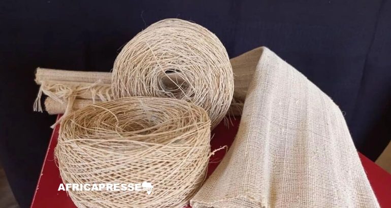 TEXFAD a développé une méthode pour recycler les fibres de bananiers