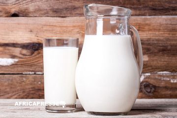 Le Sénégal rejoint la Fédération internationale du lait, une première en Afrique de l’Ouest