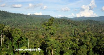 COP29 : La Côte d’Ivoire lance un fonds de 500 millions $ pour financer sa croissance verte