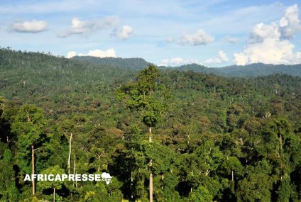 COP29 : La Côte d’Ivoire lance un fonds de 500 millions $ pour financer sa croissance verte