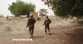 Réddition au Niger : neuf combattants du Front patriotique de libération rendent les armes